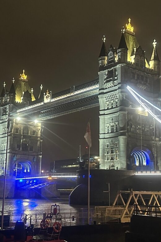 London: Private Black Cab Night Tour with Hotel Pick Up - Why Choose a Private Night Black Cab Tour in London?
