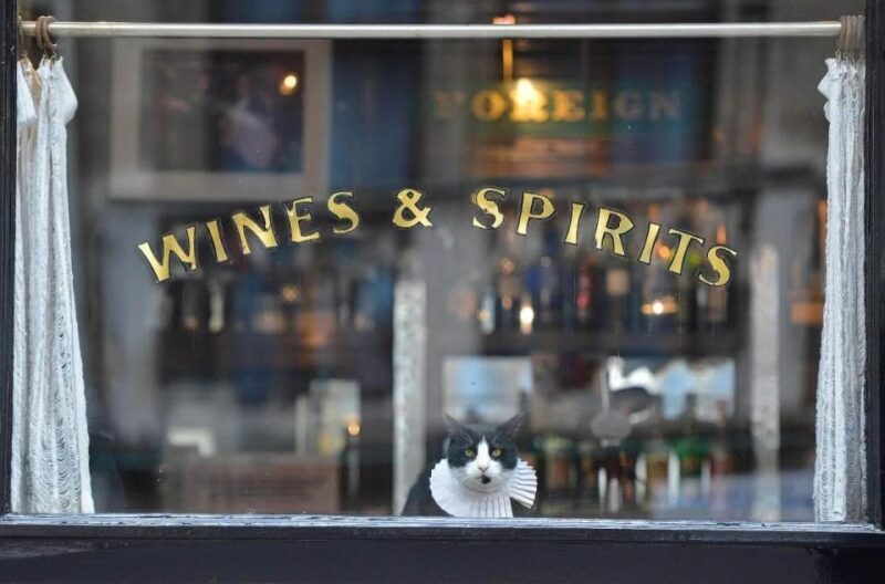 London: Private Secret Pub Walking Tour + beer all inclusive - A Closer Look at the Secret London Pub Tour