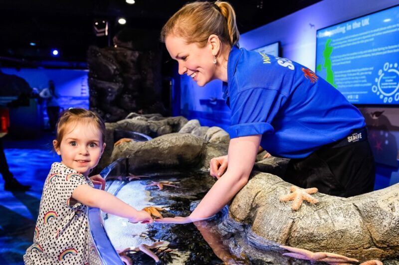 London: SEA LIFE Entry Ticket - Exploring the Aquarium: What to Expect