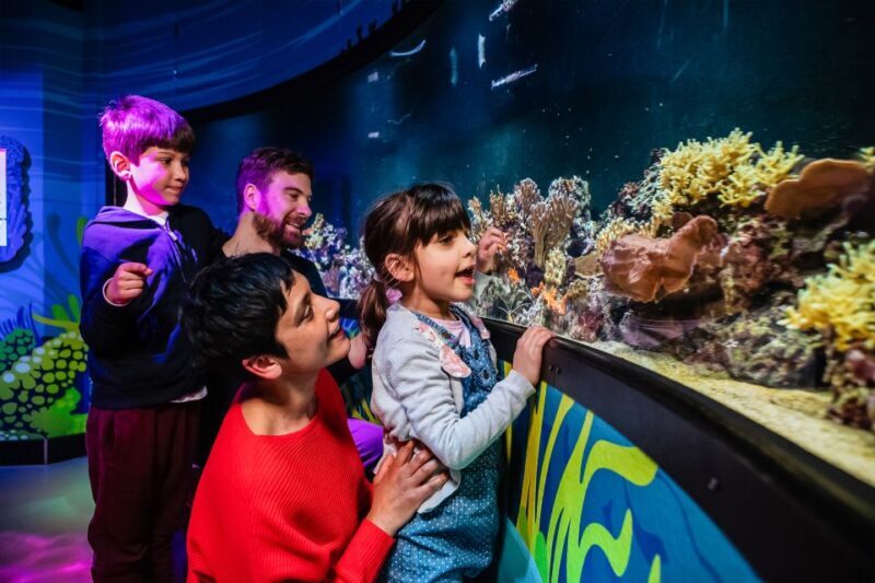 London: SEA LIFE Entry Ticket - The Sum Up