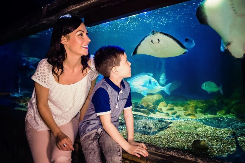 London: SEA LIFE Entry Ticket - FAQ
