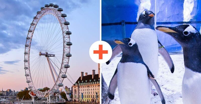 London: SEA LIFE & London Eye Combo Ticket - Who Should Consider This Experience