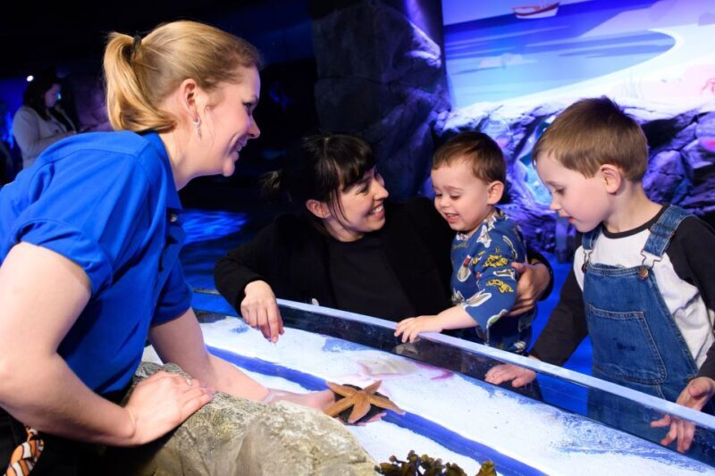London: SEA LIFE & London Eye Combo Ticket - The Experience Provider & Practicalities