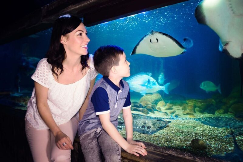London: SEA LIFE & London Eye Combo Ticket - FAQs