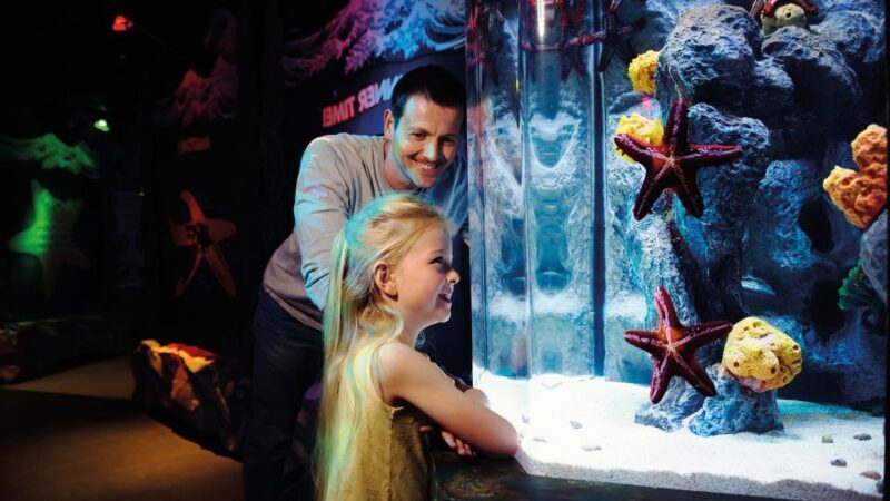 London: SEA LIFE & London Eye Combo Ticket - Final Thoughts