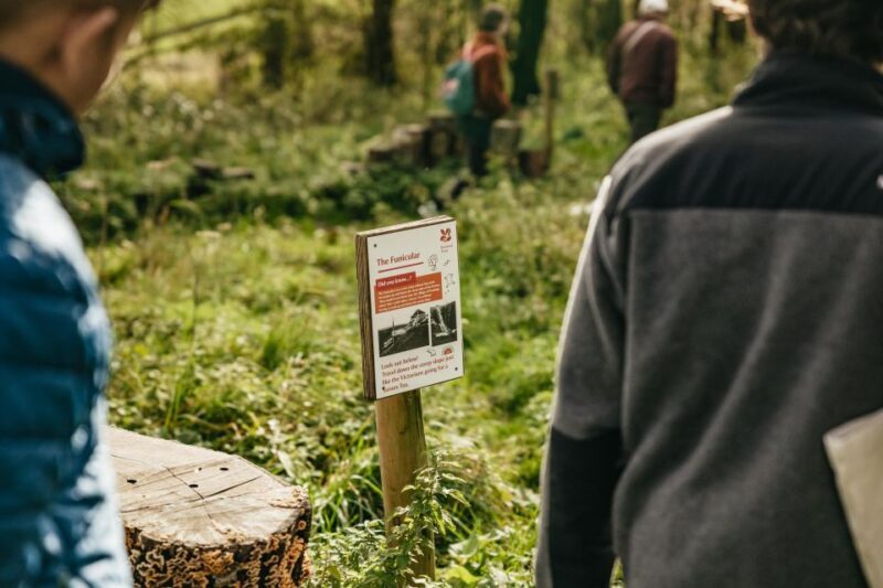 London: South Downs White Cliffs Day Trip with Train Tickets - Key Points