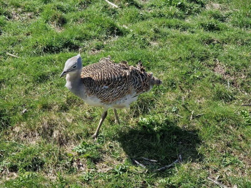 London: Stonehenge and Woodhenge Private Black Cab Tour - Final Thoughts