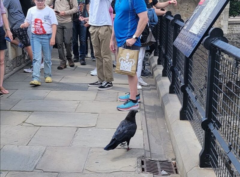 London: Tower of London Guided Tour with Boat Ride - A Deep Dive into the London Experience: What to Expect