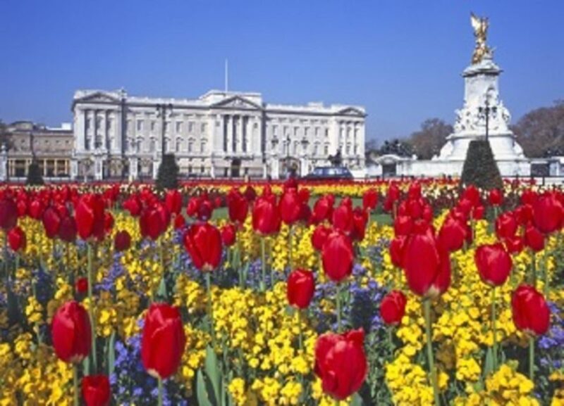 London: Westminster Tour and Windsor Castle Entry Ticket - Discovering Westminster: A Closer Look