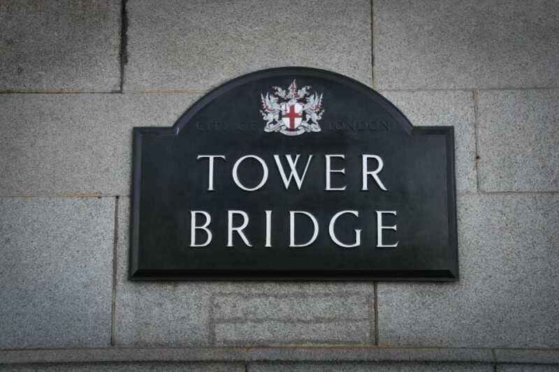 London: Westminster Tour, Tower of London & Tower Bridge - Who Will Love This Tour?