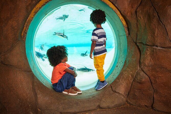 London Zoo Entry Ticket - Frequently Asked Questions
