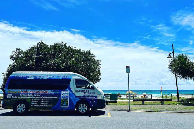 Lone Pine, Brisbane Highlights and Lunch! - Final Thoughts