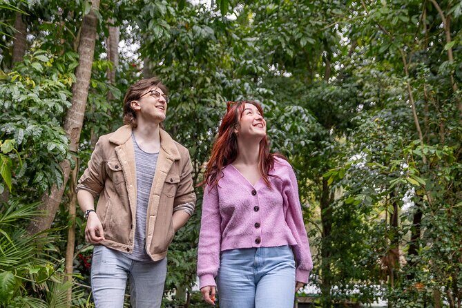 Lone Pine Koala Sanctuary Day Pass - Value for Money and Practical Tips