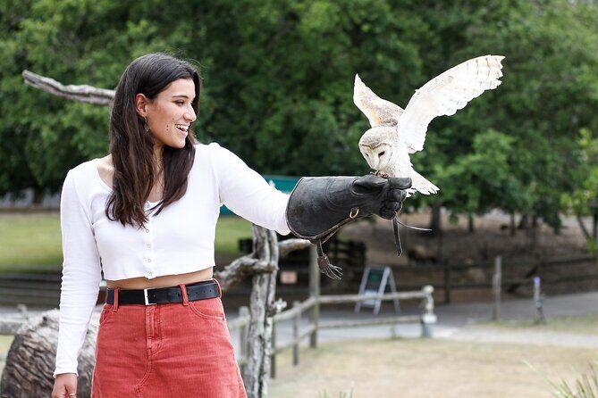 Lone Pine Koala Sanctuary Day Pass - FAQ