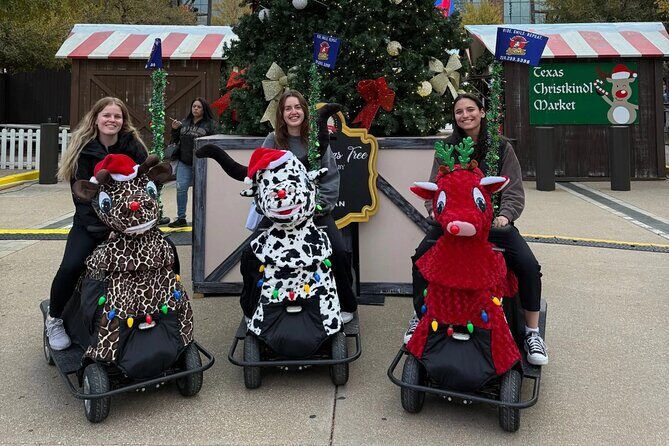 Lone Star Rydables Arlington Adventure Tour - Key Points