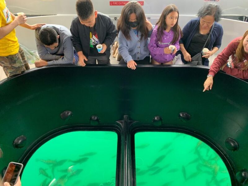Long Beach: Glass Bottom Boat Harbor Ecotour - Long Beach: Glass Bottom Boat Harbor Ecotour – An Authentic Marine Experience