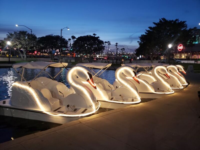 Long Beach: Swan Boat Rental at Rainbow Lagoon - Authentic Perspectives from Past Visitors