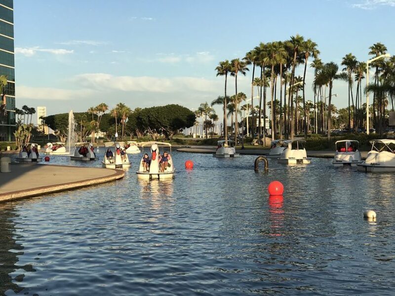 Long Beach: Swan Boat Rental at Rainbow Lagoon - The Value of This Experience
