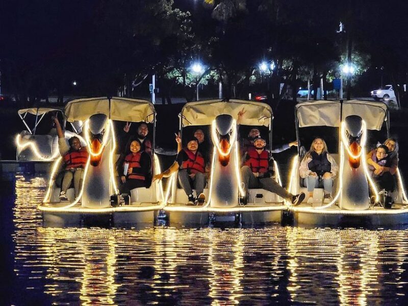 Long Beach: Swan Boat Rental at Rainbow Lagoon - Who Will Enjoy This?
