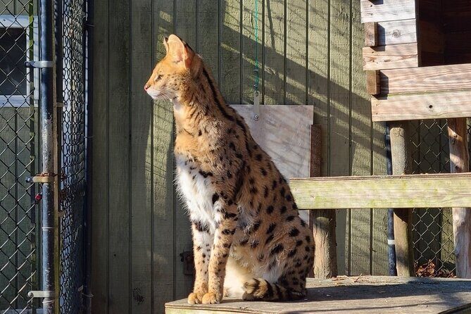 Long Island Farm & Vanderbilt Planetarium Tour | Kids 50% Off - FAQ