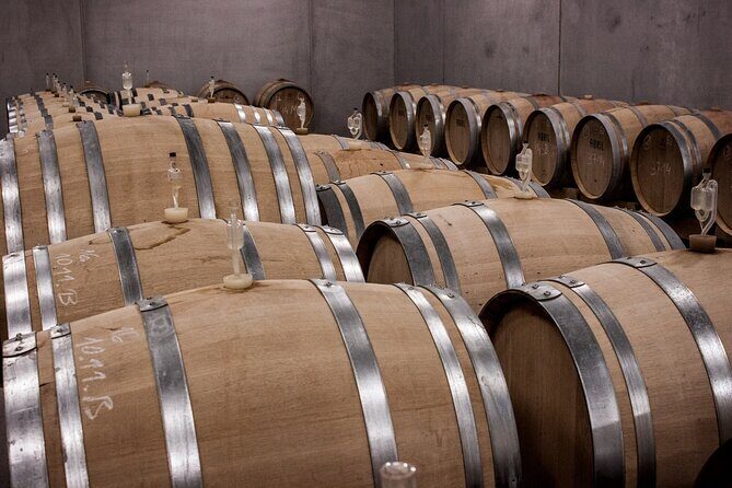 Long Island Wine Tour North Fork Sights, Bites & Flights Full-Day - The Experience Through the Eyes of Past Travelers