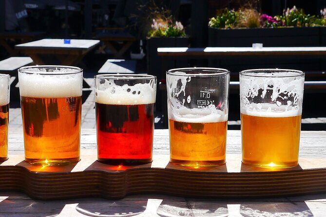 Long Island Wine Tour North Fork Sights, Bites & Flights Full-Day - Who Is This Tour Best For?