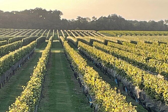 Long Island Wine Tour North Fork Sights, Bites & Flights Full-Day - Final Thoughts