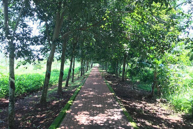 Long Tan Battlefield Day Tour - "Lest We Forget" - The Experience in Detail: What to Expect