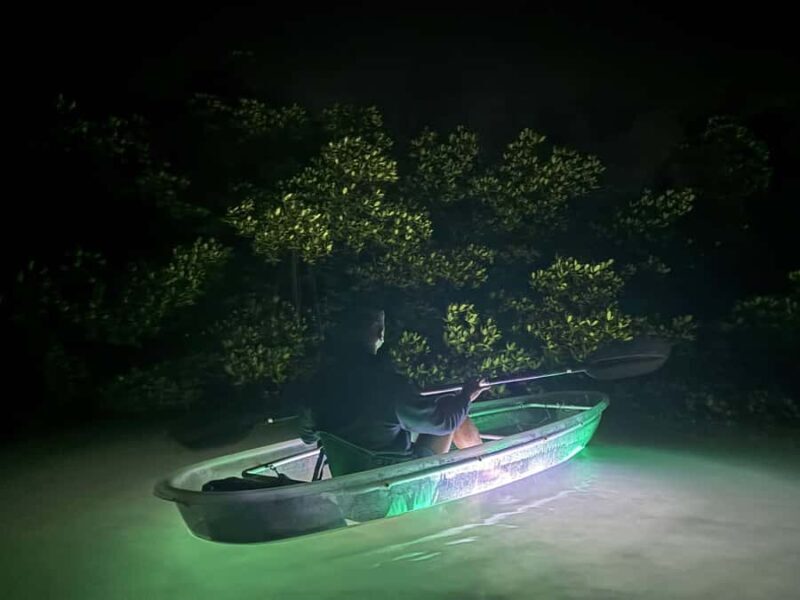 Longboat Key Clear Kayak LED Illuminated Night Tour Sarasota - Exploring Longboat Key’s Nighttime Waters in a Clear, LED-Lit Kayak
