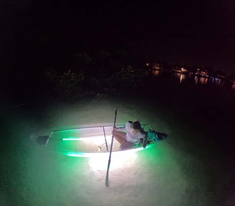 Longboat Key Clear Kayak LED Illuminated Night Tour Sarasota - Key Points