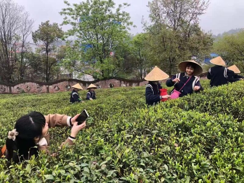Longji Rice Terraces: 1-Day Private Tour - Why This Tour Offers Great Value