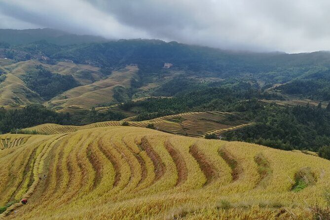 Longji Rice Terraces All In One Dazhai and Pingan Villages Tour - Key Points