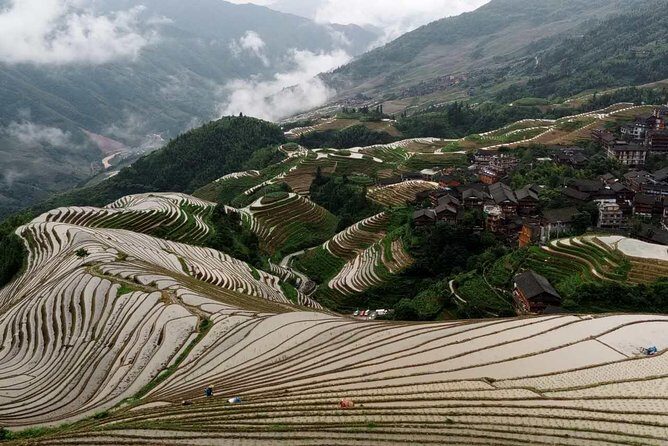 Longji Rice Terraces and Minority Village Day Tour - FAQs
