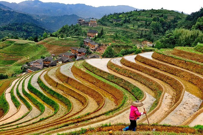 Longji Rice Terraces Day Tour from Guilin hotel - An In-Depth Look at the Longji Rice Terraces Tour