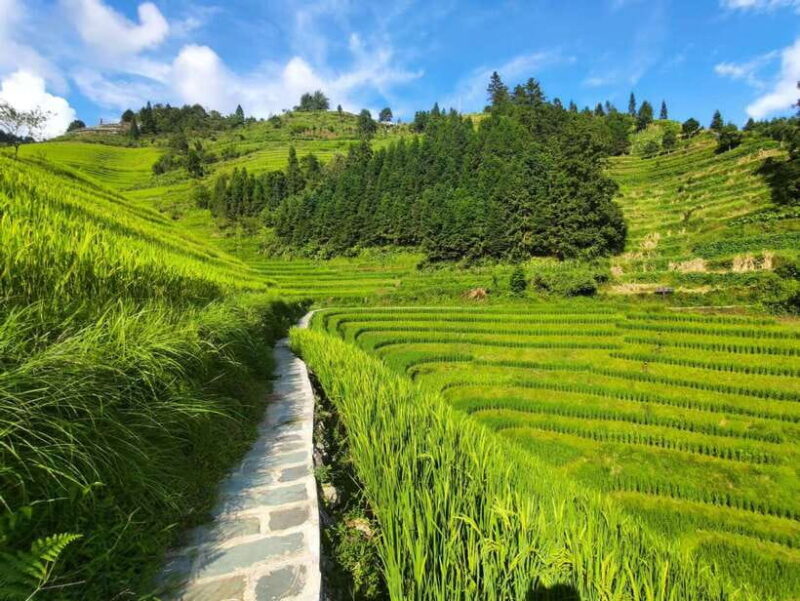 Longji Rice Terraces: Full-Day Private Tour from Guilin - Key Points