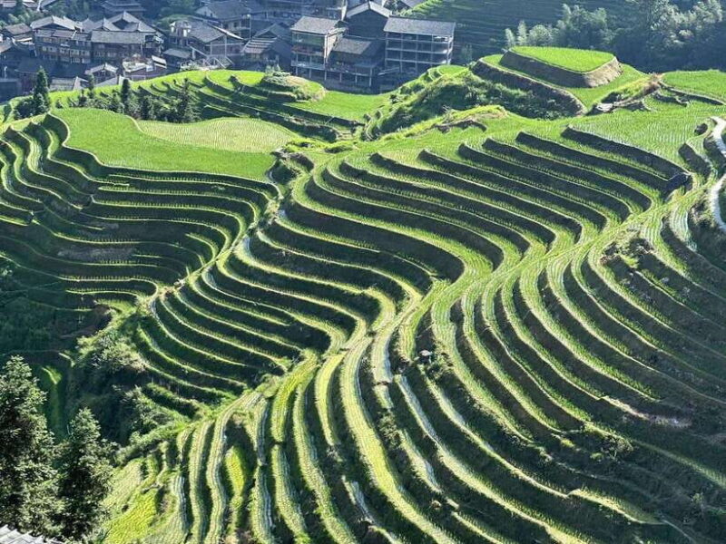 Longji Rice Terraces: Full-Day Private Tour from Guilin - Authenticity and Real Traveler Experiences
