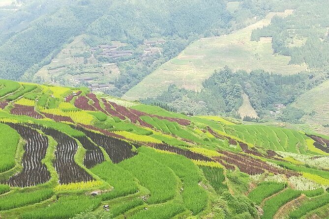 Longji Rice Terraces Hiking Tour Full Day Adventure - What the Reviews Say