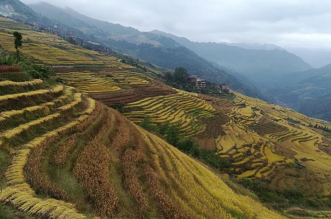 Longji Rice Terraces Hiking Tour Full Day Adventure - Who Should Consider This Tour
