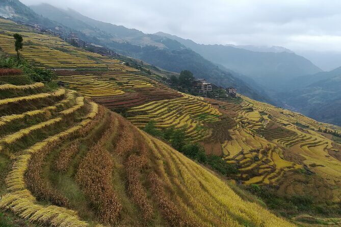 Longji Rice Terraces Hiking Tour Full Day Adventure - The Sum Up