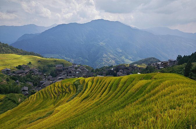 Longji Rice Terraces Hiking Tour Full Day Adventure - FAQ