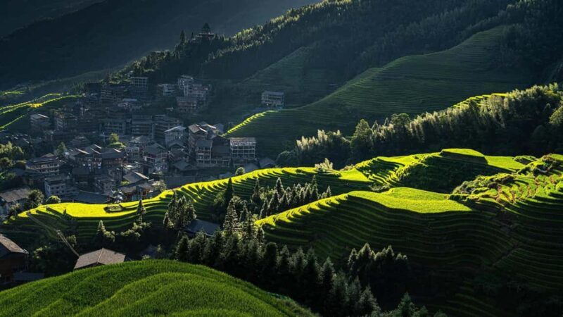 Longji Terraced Fields: Hiking to explore Ethnic Villages - Who Should Consider This Tour?