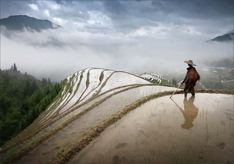 Longsheng Ethnic Minority & Rice Terraces Full-Day Tour - A Detailed Look at the Longsheng Ethnic Minority & Rice Terraces Tour