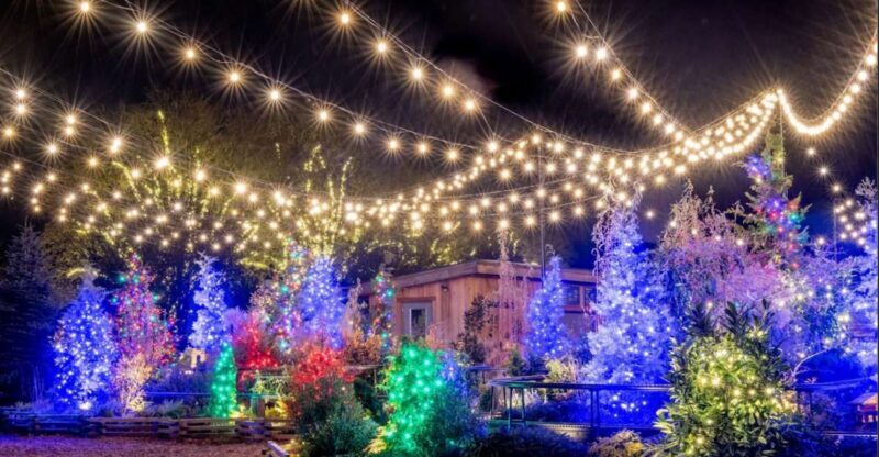 Longwood Gardens Holiday Lights Tour from Philadelphia - Key Points