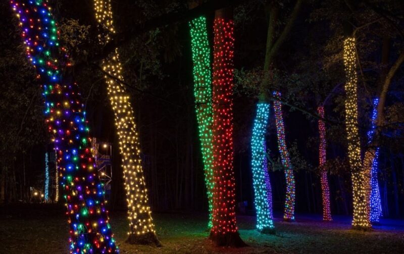 Longwood Gardens Holiday Lights Tour from Philadelphia - The Experience in Detail