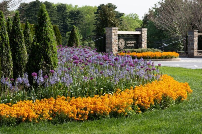 Longwood Gardens Holiday Lights Tour from Philadelphia - The Sum Up