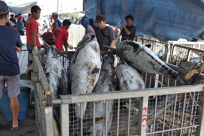 Look at Jakarta Local Experience Tour With Boating - FAQs