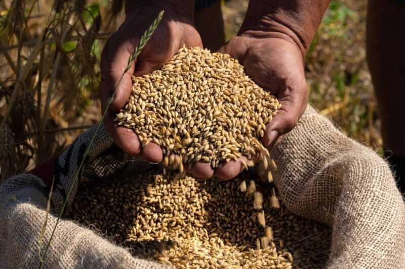 Loosbroek: Grain-to-glass Whisky Distillery Tour & Tasting - Who Should Consider This Tour?