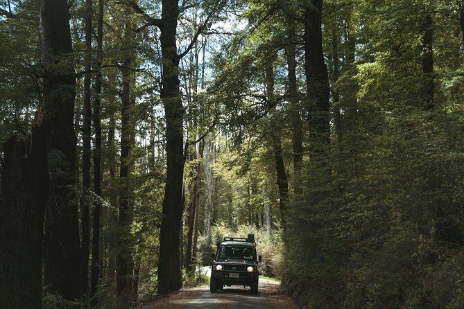 Lord of Rings Tour around Queenstown Lakes by 4WD (full day) - FAQs