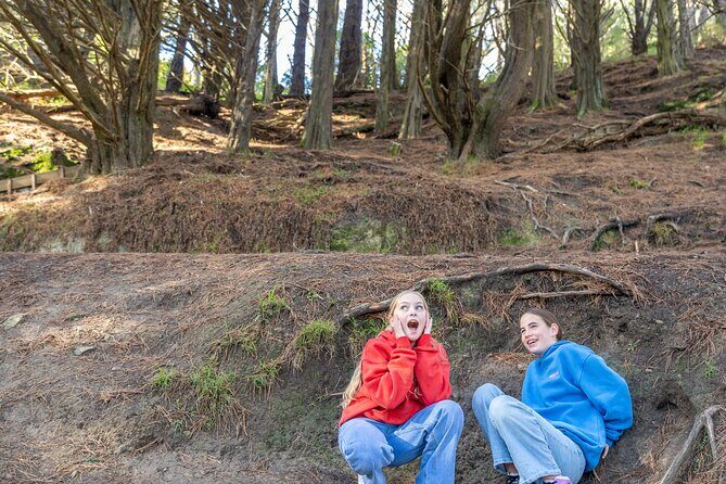 Lord of the Rings 1/2 day Tour to rule them all incl. Weta Tour - Key Points