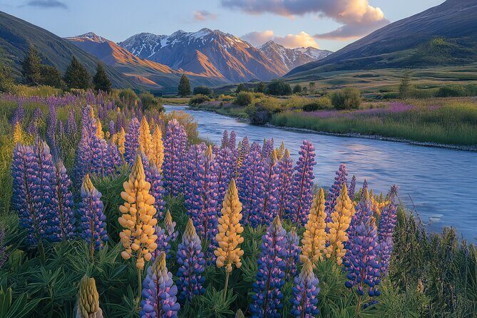 Lord of the Rings Scenic Half Day Tour from Queenstown - Final Thoughts